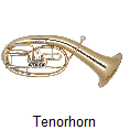 Tenorhornk