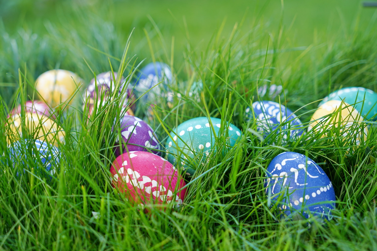 im Gras bunte Eier