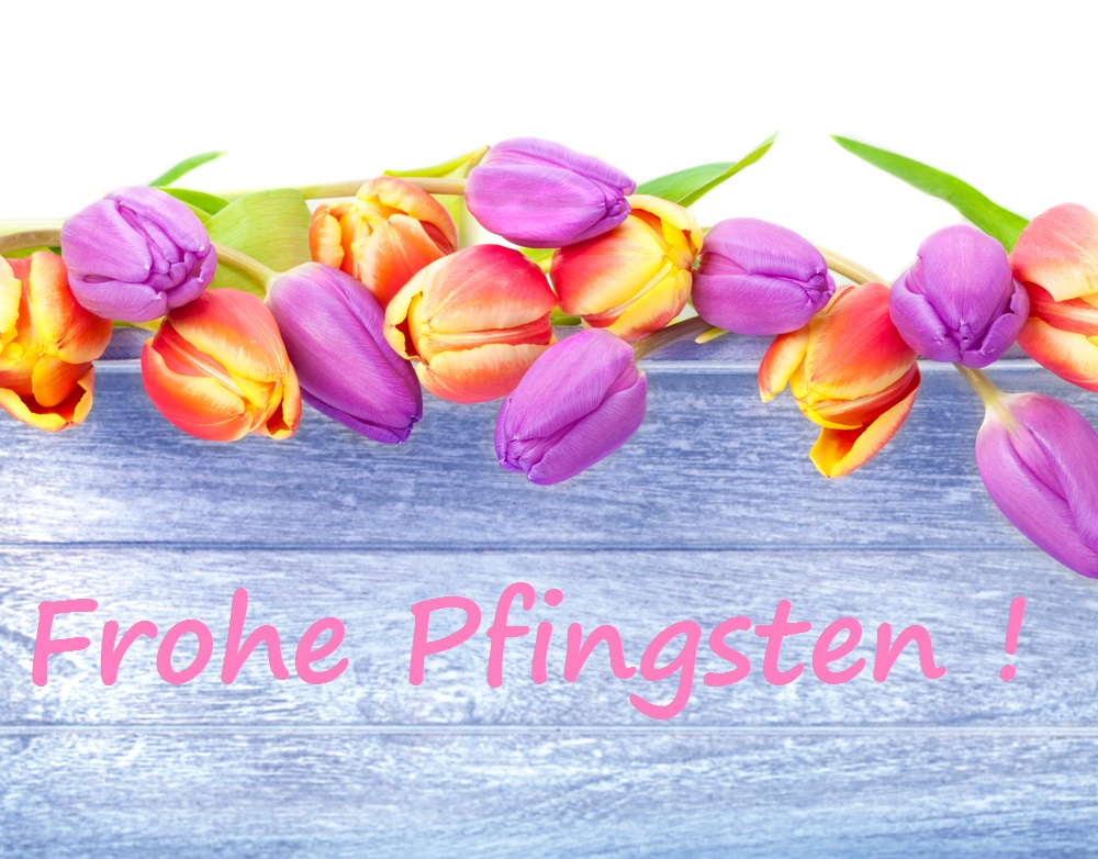 Bunte Tulpen liegend auf der oberen Hälfte des Fotos. Darunter der Spruch "Frohe Pfingsten!" Bunte Tulpen liegend auf der oberen Hälfte des Fotos. Darunter der Spruch "Frohe Pfingsten!"